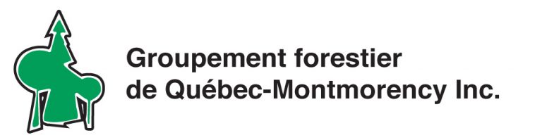 Plusieurs projets pour le GF Québec-Montmorency