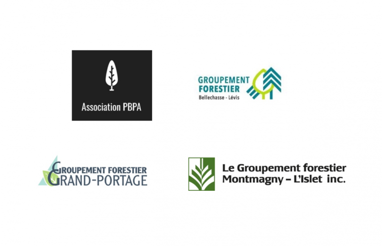 Une solution moderne pour la mise en marché des bois dans la Côte-du-Sud
