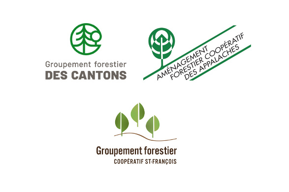 Une solution innovante pour la mise en marché volontaire des bois dans le sud du Québec