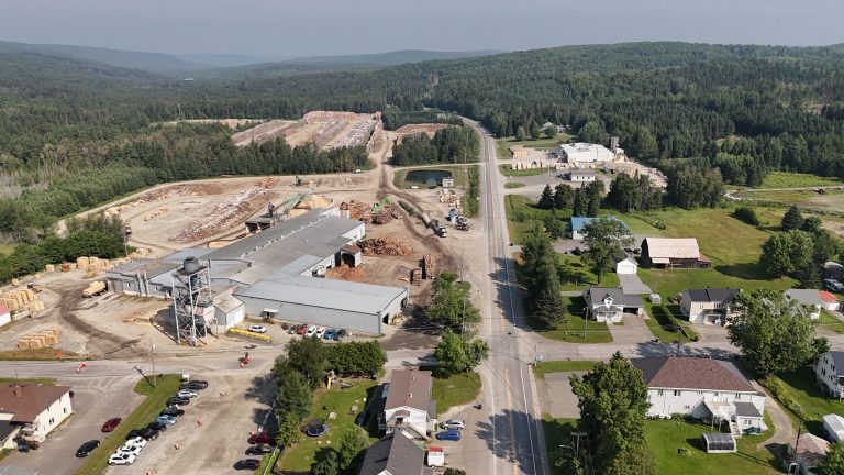 De la forêt à l&rsquo;usine